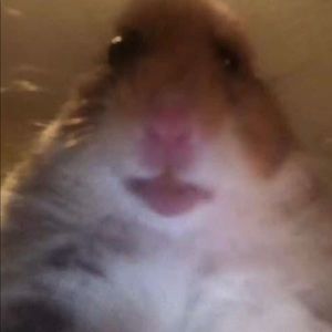 Meet your Posher, Mckenzie